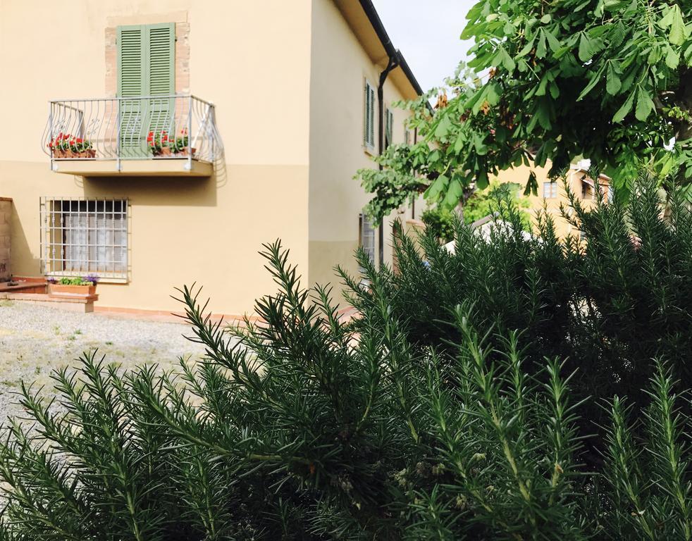 Casetta Luna E Sole Montescudaio Ngoại thất bức ảnh