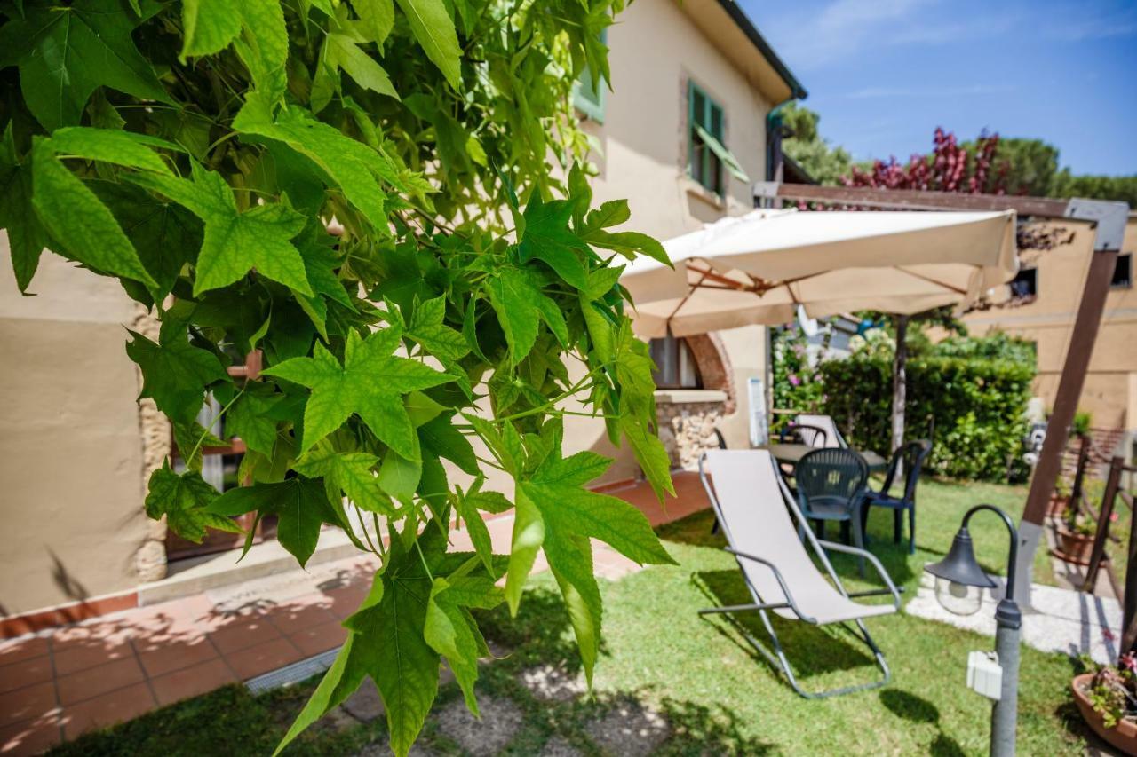 Casetta Luna E Sole Montescudaio Ngoại thất bức ảnh